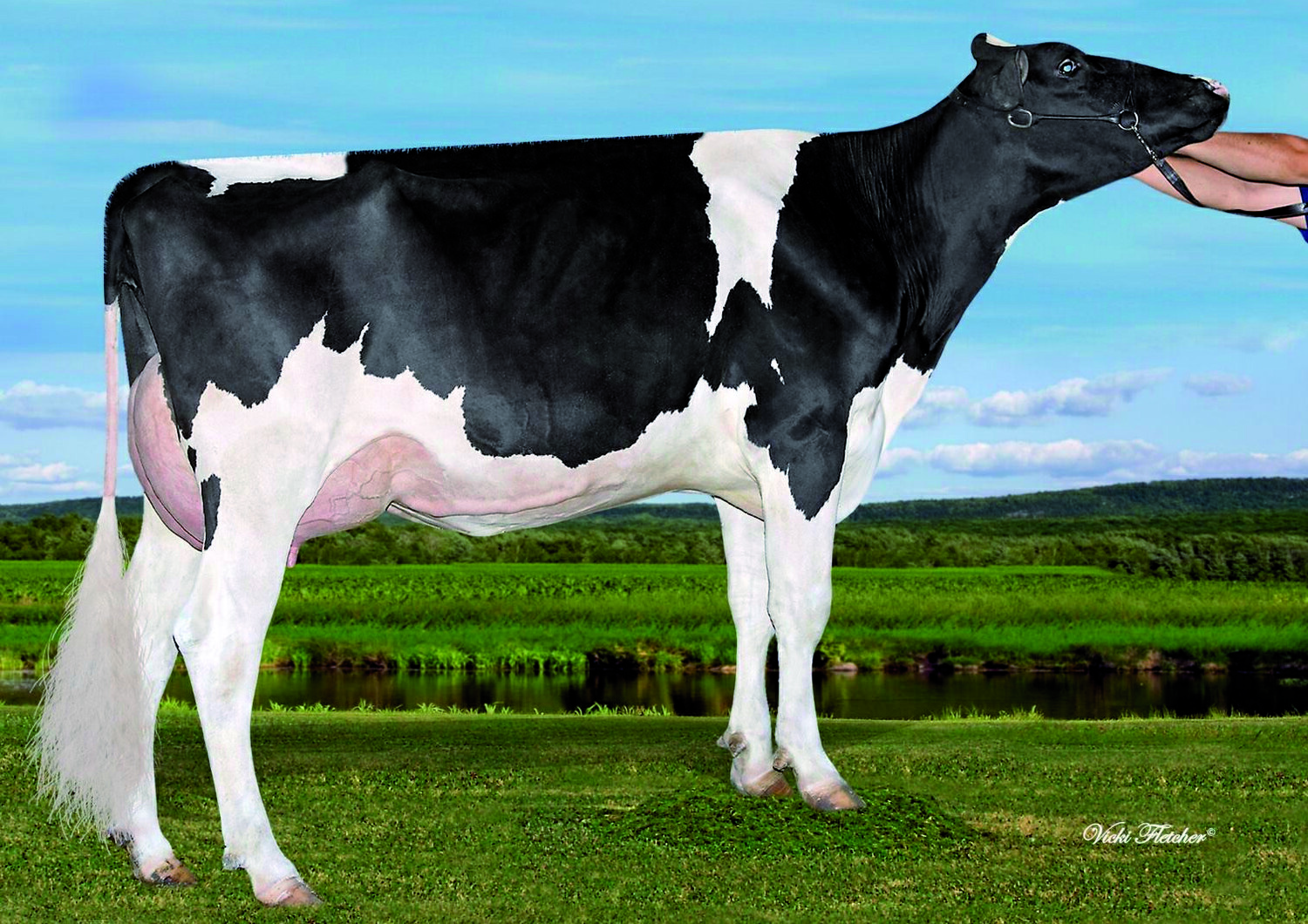 MR AIJA MIRAND MOOI — 515HO00384